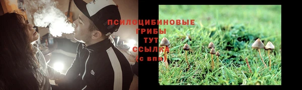 не бодяженный Алзамай