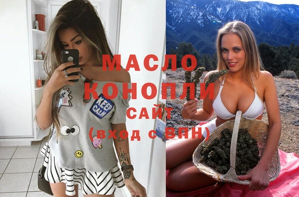 молекула духа Алексеевка