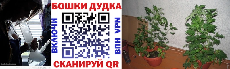 купить закладку  Кольчугино  Шишки марихуана OG Kush 